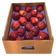 Apple Red Bosnia 18 KG Box