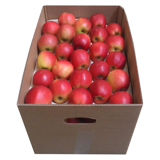 Apple Red Poland 18 KG Box