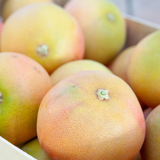 Grape Fruit Turkey 15 KG Box