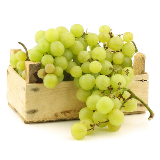 Grapes White Seedless XL ZAF 4.5 KG Box