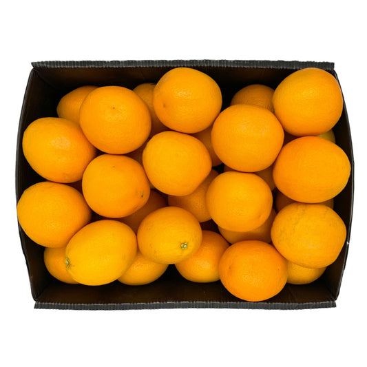 Orange Valencia Egypt 88 Size 15 KG Box