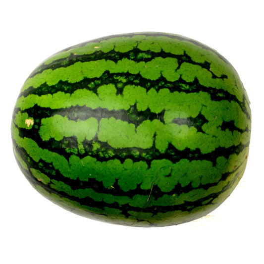 Watermelon Africa 5 KG