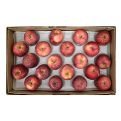 Apple Red Italy 18 KG Box
