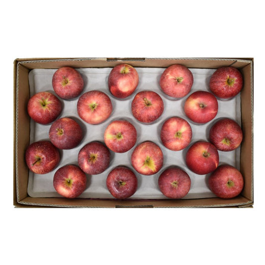 Apple Red Italy 18 KG Box