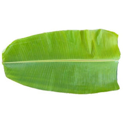 Banana Leaf India 1 Pc