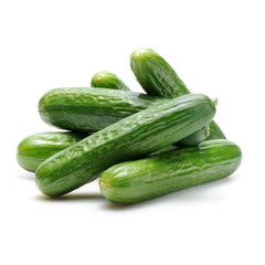 Cucumber PP Holland 5 Kg