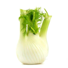Fennel Australia 5 Kg