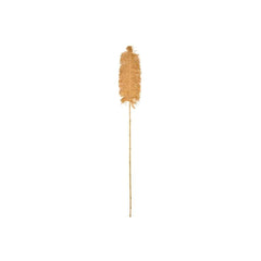 Naturalan ITM03297 Decorative Plant Stem Natural, 197 x 27 x 2