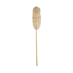 Naturalan ITM03321 Decorative Seagrass Stem Light 2m, 200 x 30 x 2