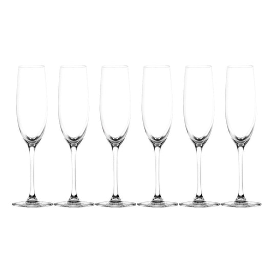 Lucaris LS01CP06 Bangkok Bliss Champagne Glass 180 ml, Set of 6