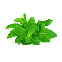Mint Leaves Cyprus 5 Kg