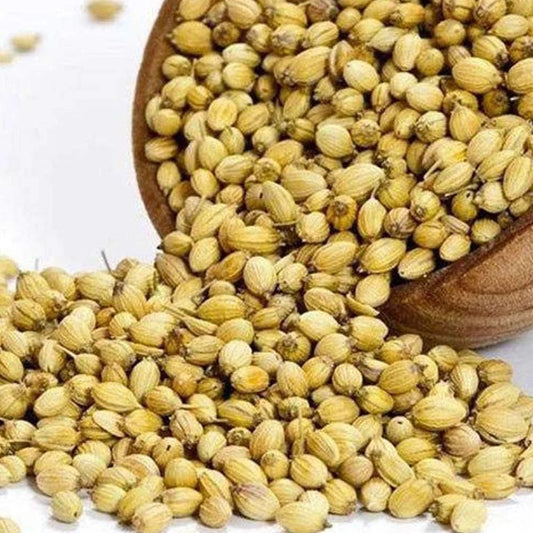 Coriander Whole 1 Kgs - HorecaStore