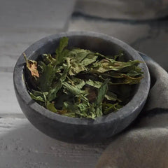 Senor Pepe's (Wild Mexican Sage) Epazote Packet 1 X 1 kg