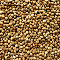 Coriander Whole 1 x 15 KG