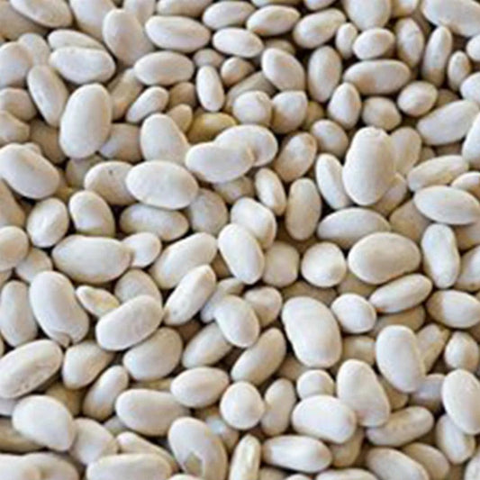 Egypt White Small Beans 25 kg - HorecaStore